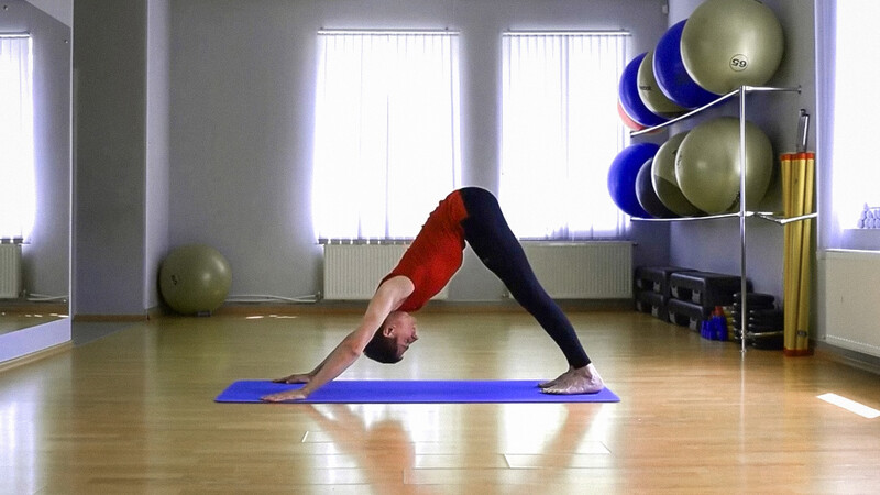 Адхо Мукха Шванасана (Поза собаки мордой вниз) Адхо Мукха Шванасана (Поза собаки мордой вниз)