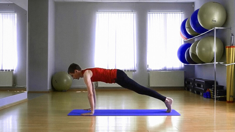 Дандасана (Поза палки) Дандасана (Поза палки)